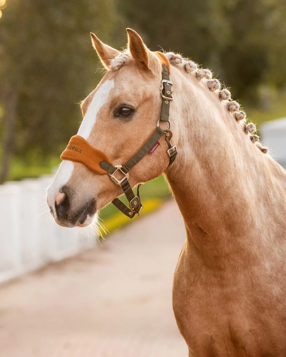 LeMieux Vogue Headcollar & Leadrope - Image 36