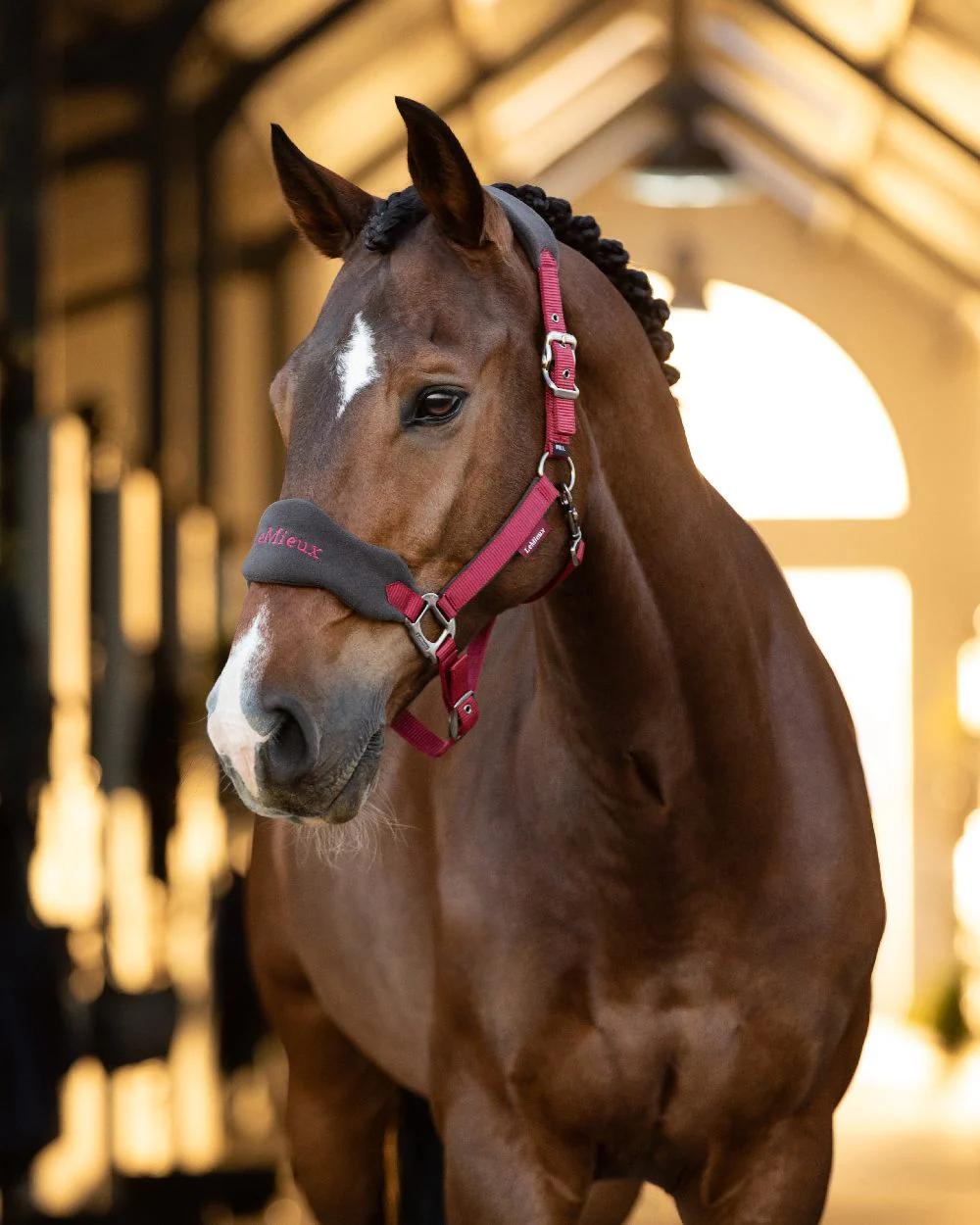 LeMieux Vogue Headcollar & Leadrope - Image 38