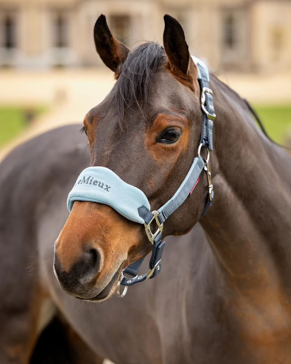 LeMieux Vogue Headcollar & Leadrope - Image 40