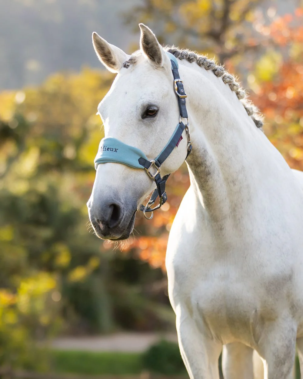 LeMieux Vogue Headcollar & Leadrope - Image 41