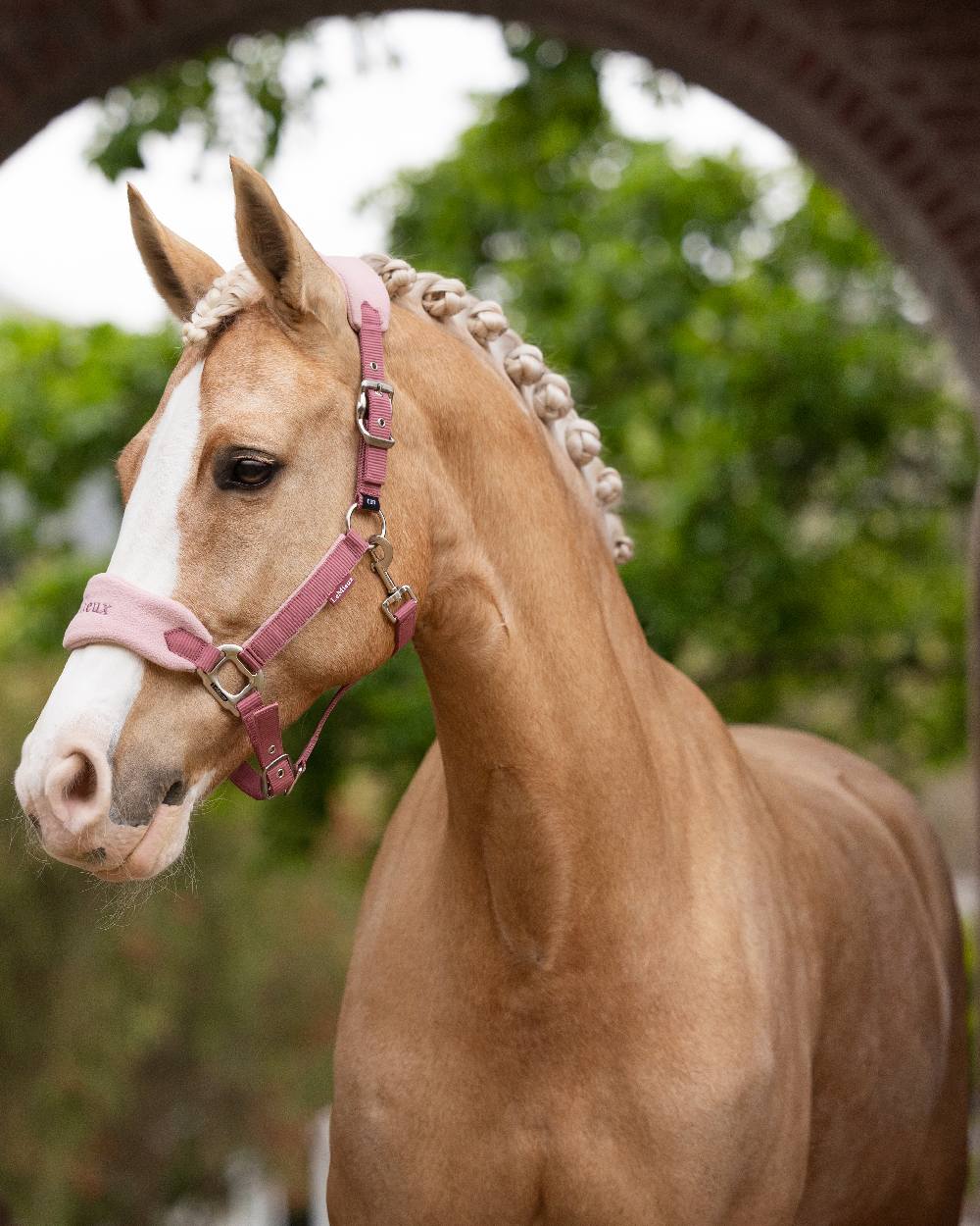 LeMieux Vogue Headcollar & Leadrope - Image 43