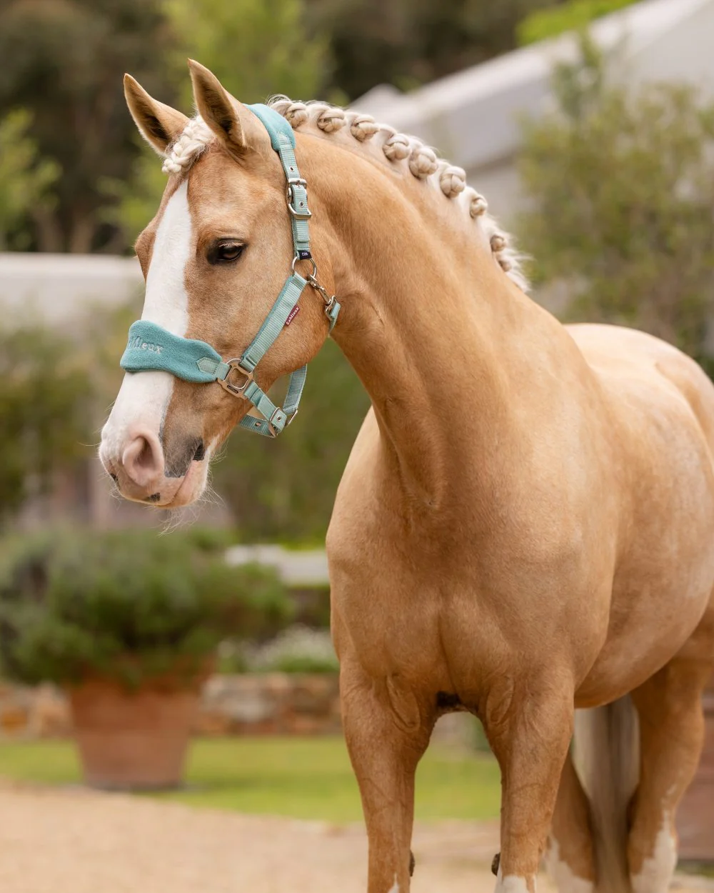 LeMieux Vogue Headcollar & Leadrope - Image 47