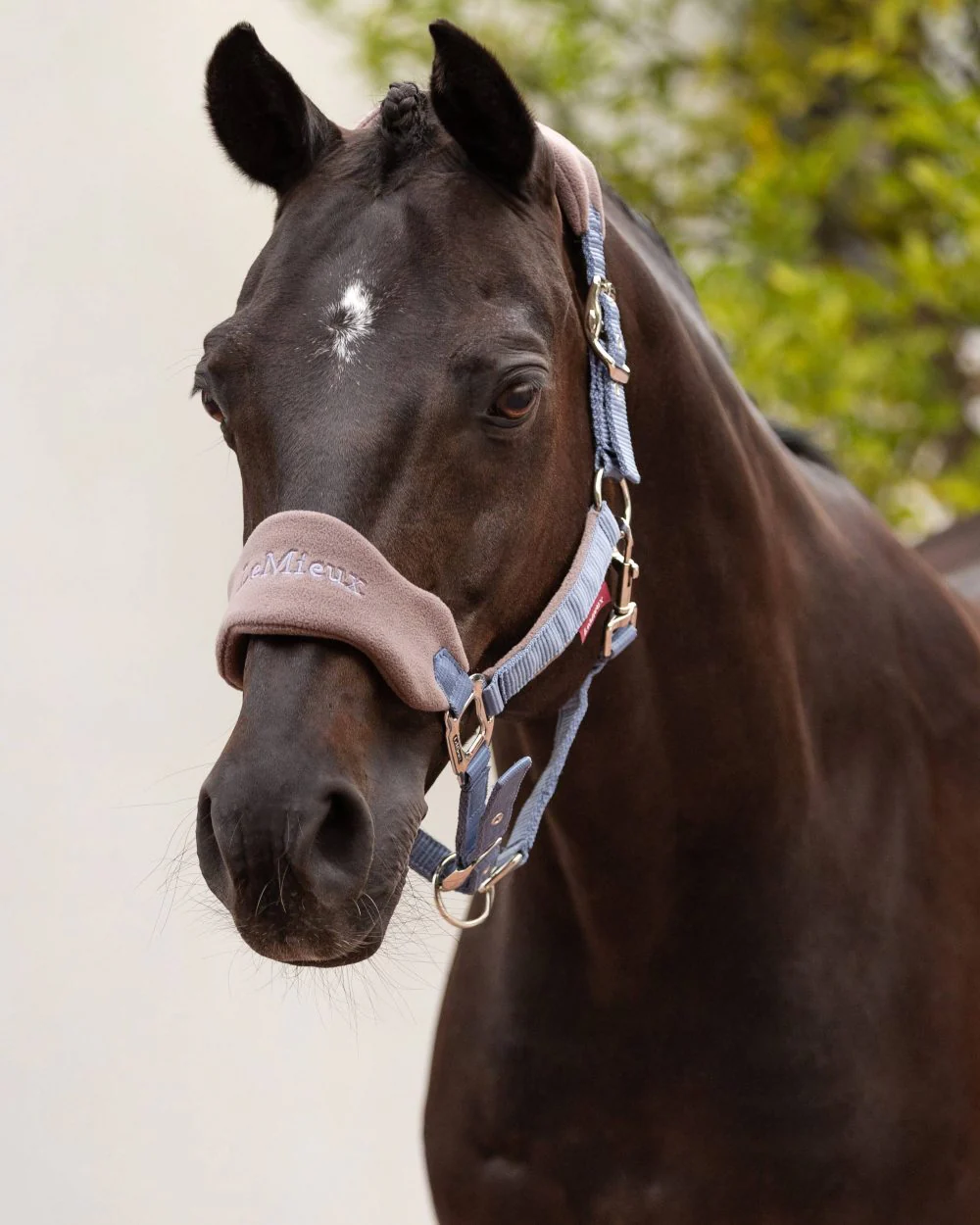 LeMieux Vogue Headcollar & Leadrope - Image 5