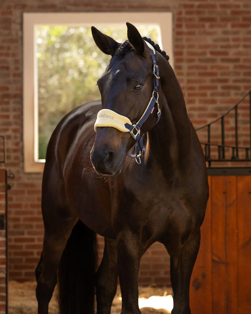 LeMieux Vogue Headcollar & Leadrope - Image 50