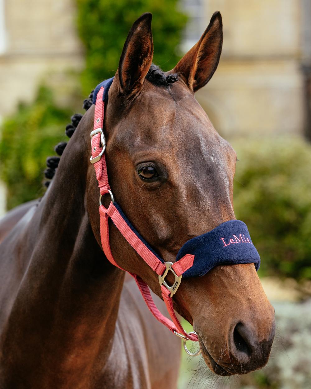 LeMieux Vogue Headcollar & Leadrope - Image 54
