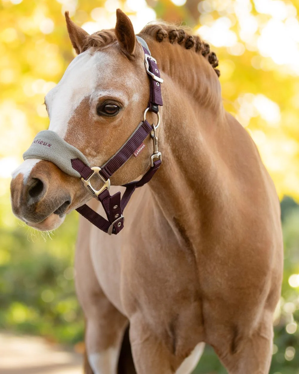 LeMieux Vogue Headcollar & Leadrope - Image 58
