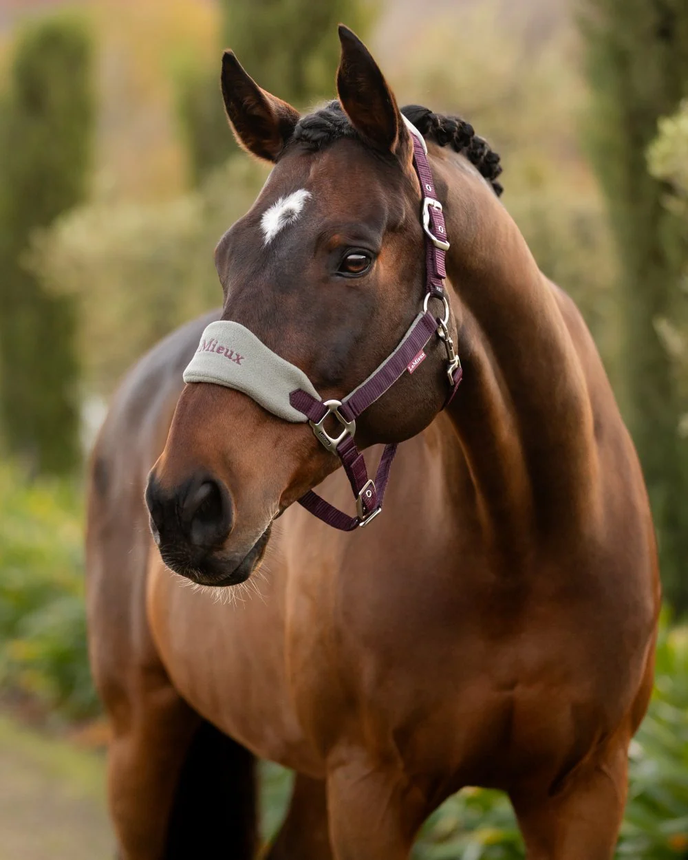 LeMieux Vogue Headcollar & Leadrope - Image 59
