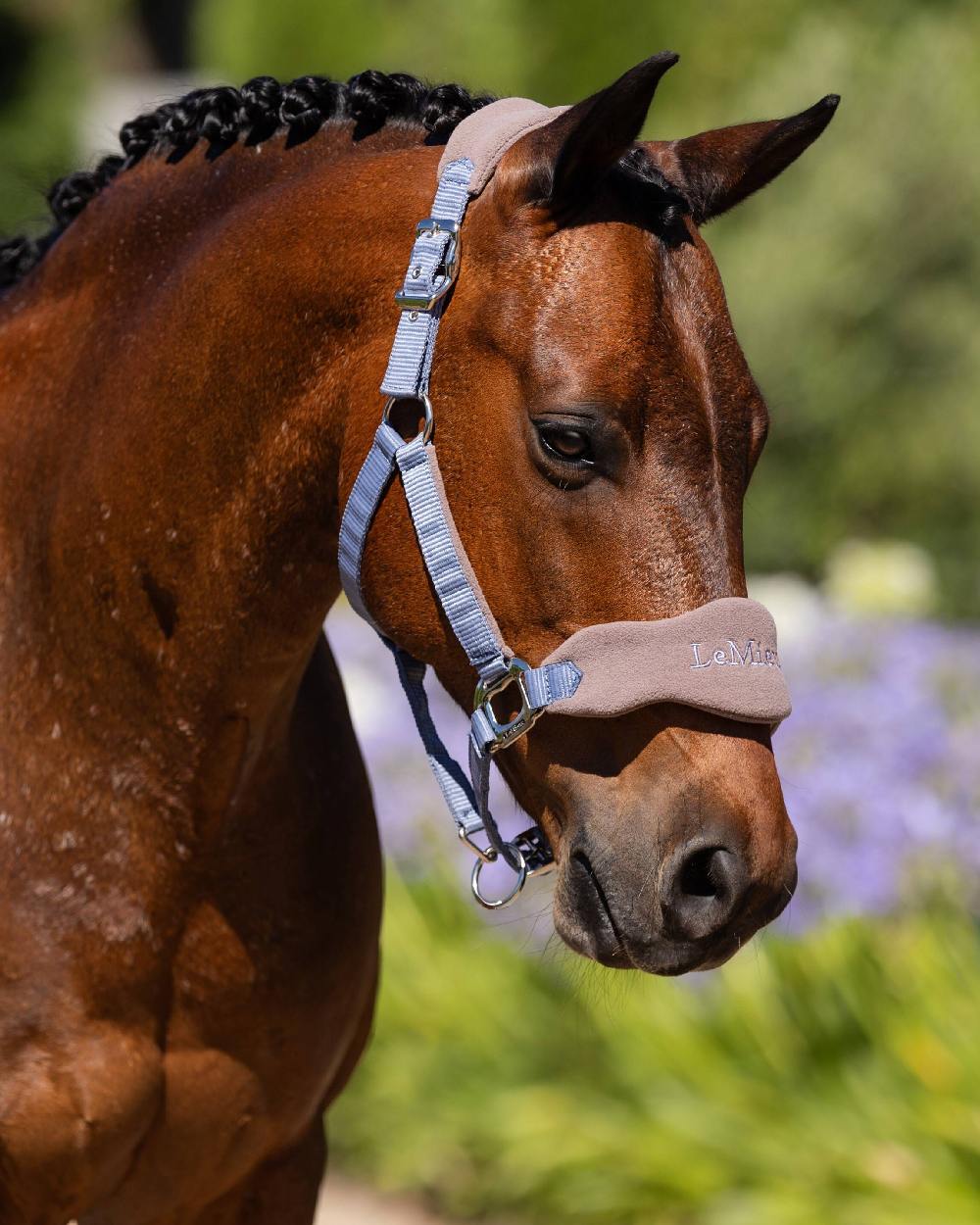 LeMieux Vogue Headcollar & Leadrope - Image 6