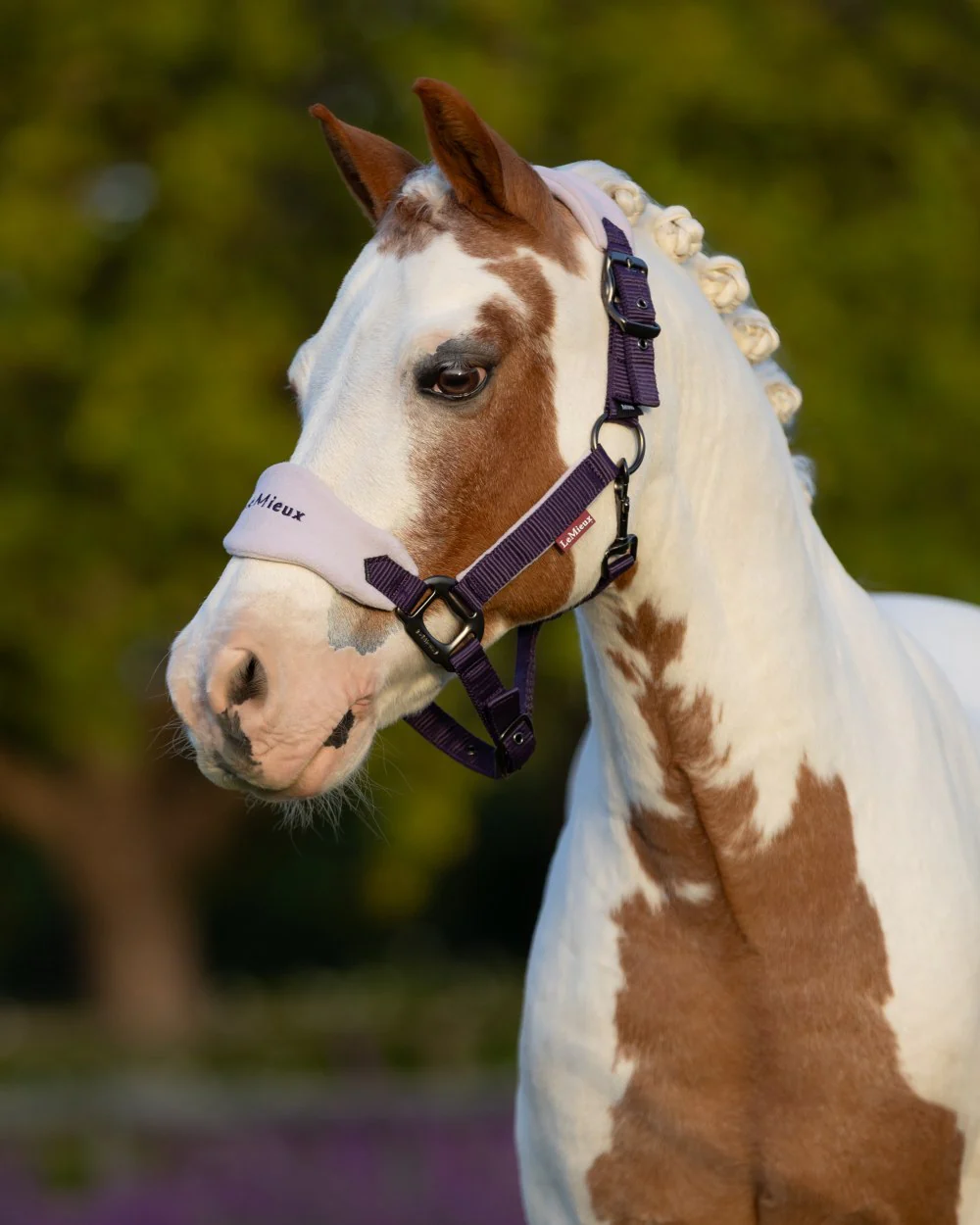 LeMieux Vogue Headcollar & Leadrope - Image 63