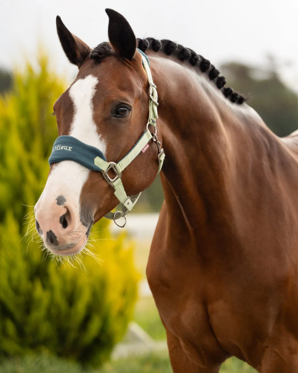 LeMieux Vogue Headcollar & Leadrope - Image 65
