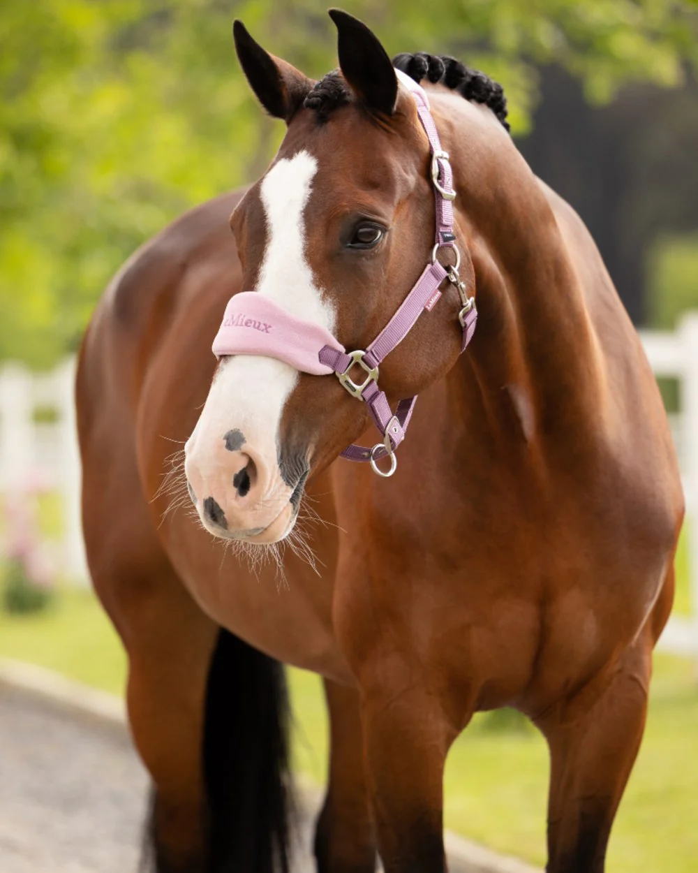 LeMieux Vogue Headcollar & Leadrope - Image 70