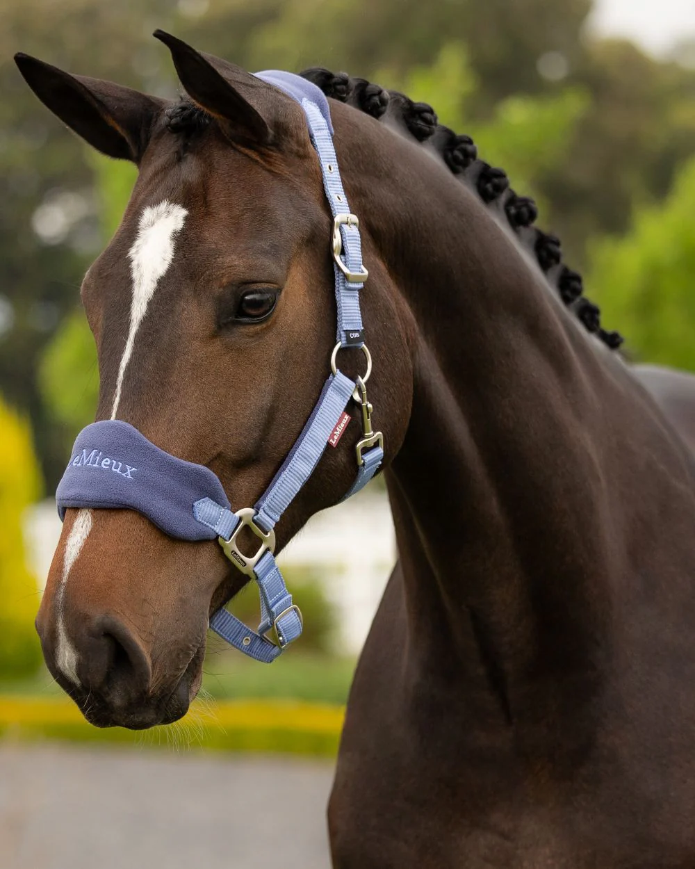 LeMieux Vogue Headcollar & Leadrope - Image 72