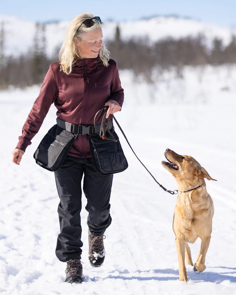 Pinewood Dog Sports Utility Belt - Image 3