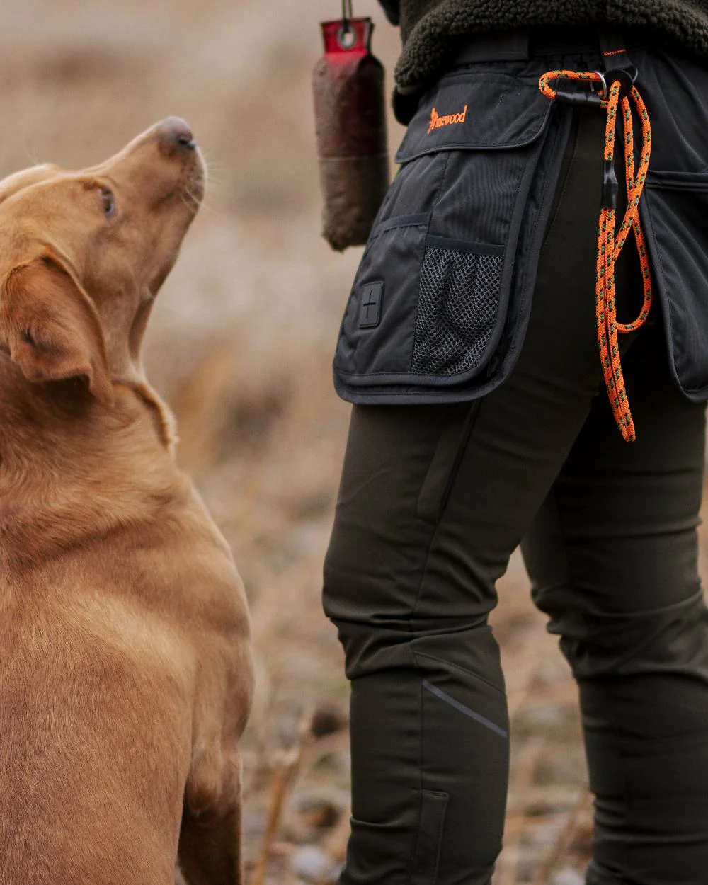 Pinewood Dog Sports Utility Belt - Image 5
