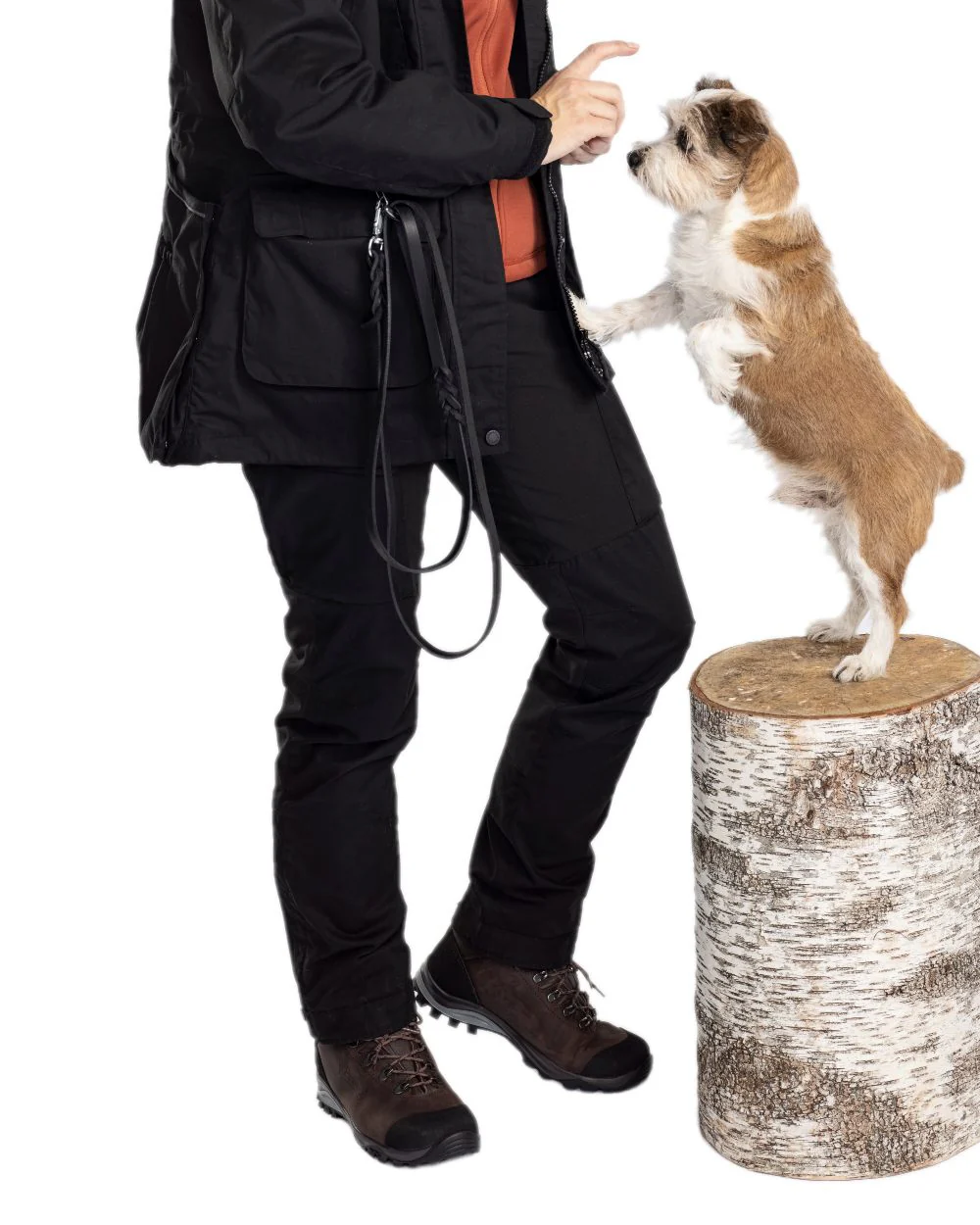 Pinewood Womens Dog Sports Trainer Trousers - Image 2