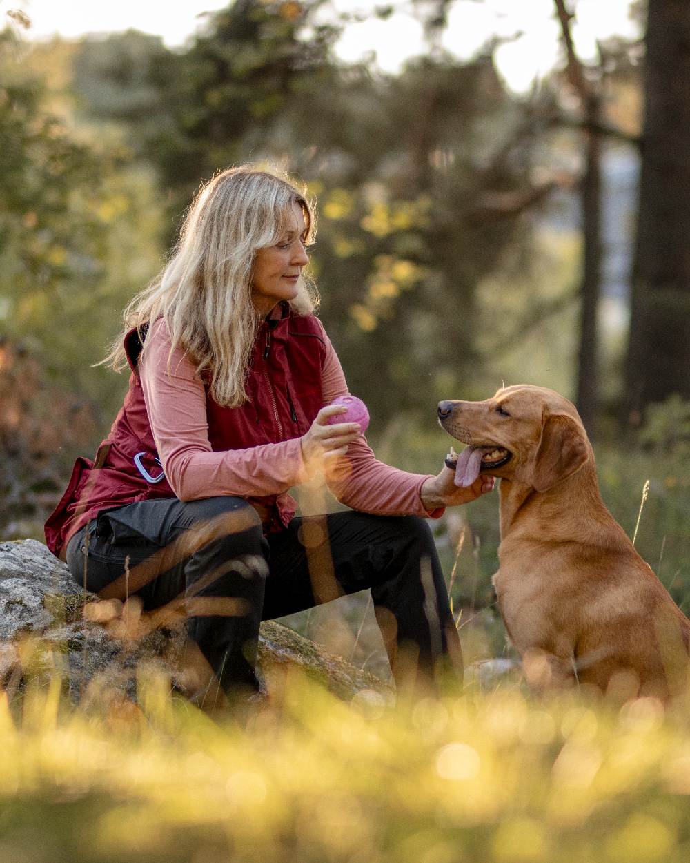 Pinewood Womens Dog Sports Trainer Trousers - Image 3
