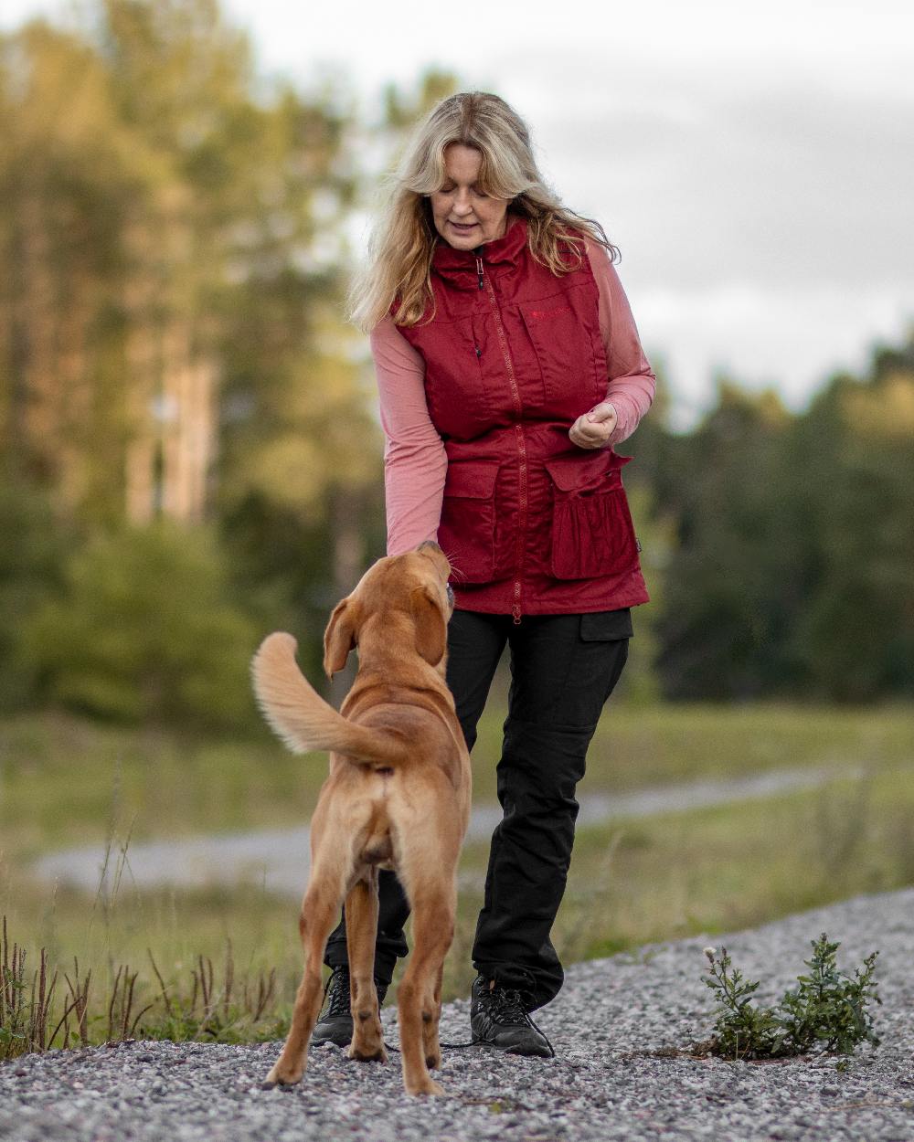 Pinewood Womens Dog Sports Trainer Trousers - Image 4