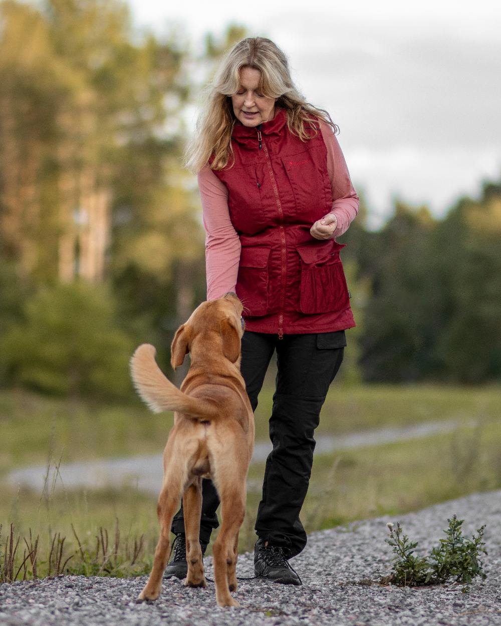 Pinewood Womens Dog Sports Trainer Vest - Image 6