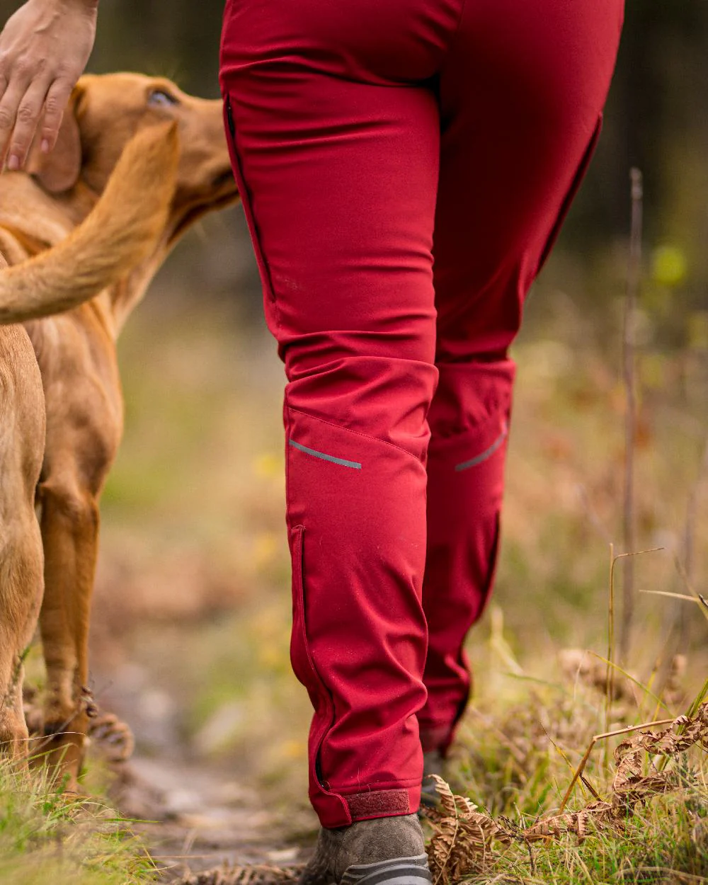 Pinewood Womens Wilda Stretch Shell Trousers - Image 3