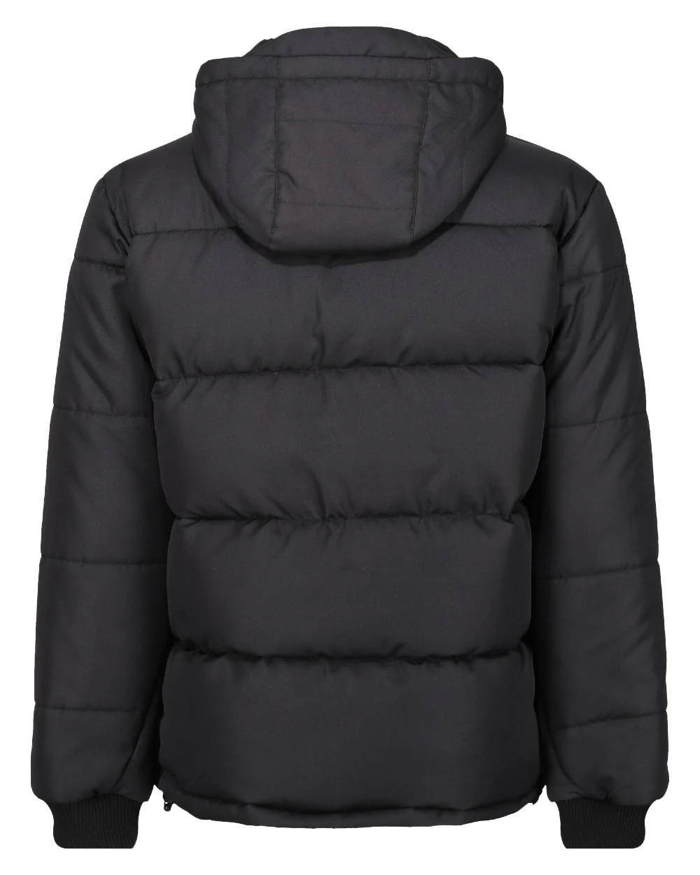 Regatta Professional Mens Northdale Insulated Jacket - Image 18