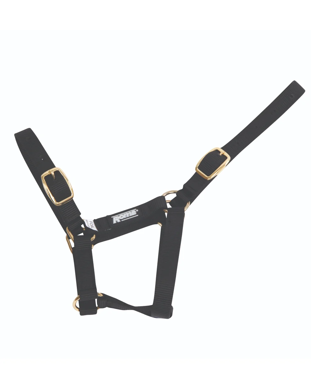 Roma Foal Headcollar - Image 3