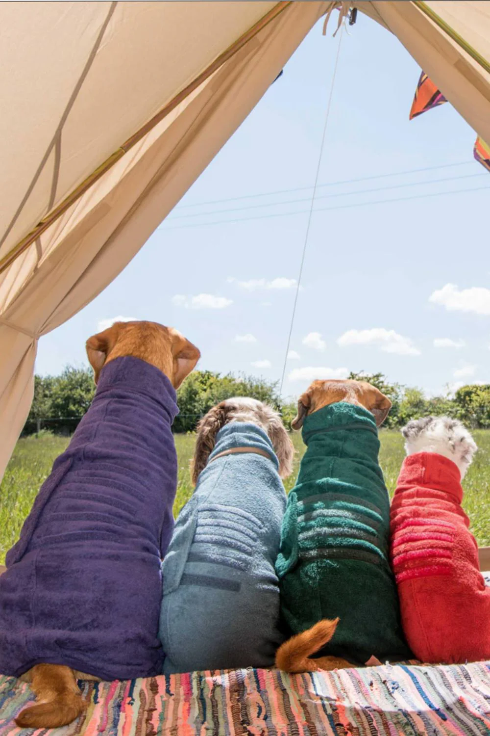 Ruff & Tumble Classic Dog Drying Coat - Image 3