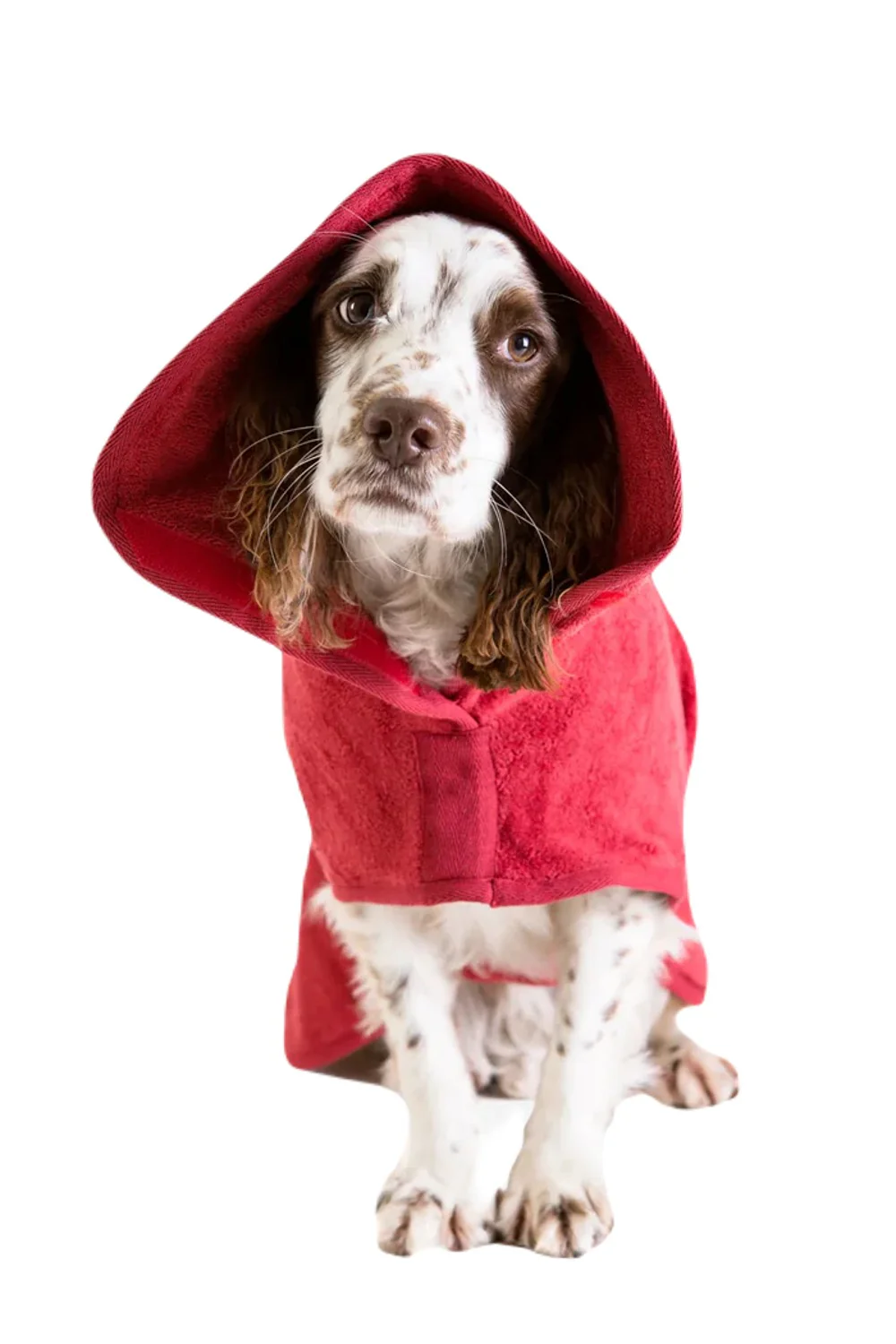 Ruff & Tumble Classic Dog Drying Coat - Image 5
