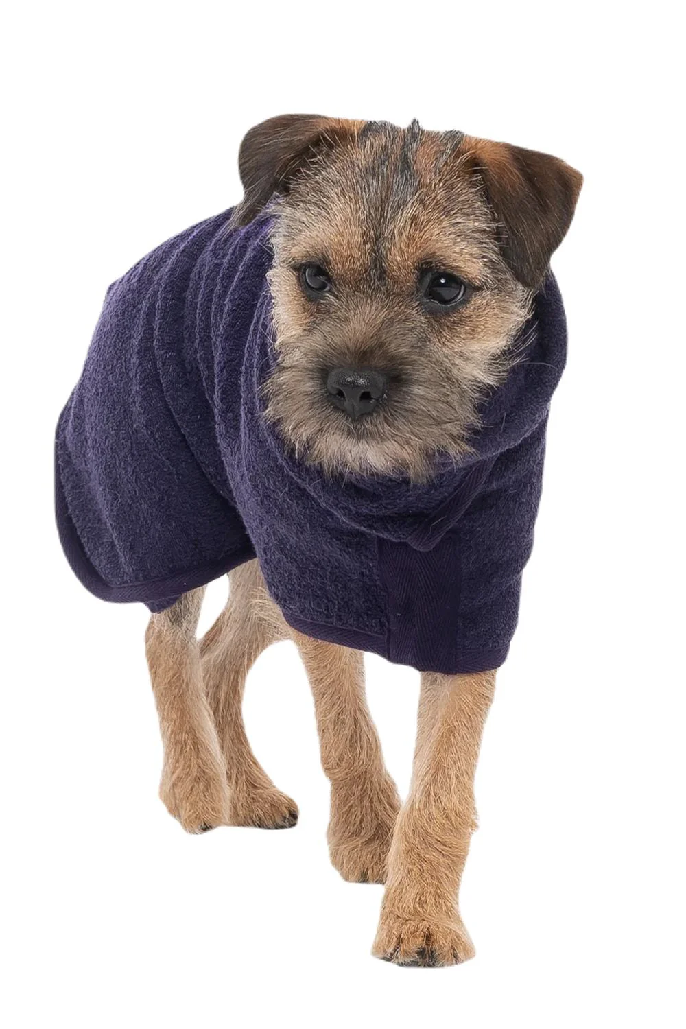 Ruff & Tumble Classic Dog Drying Coat - Image 6