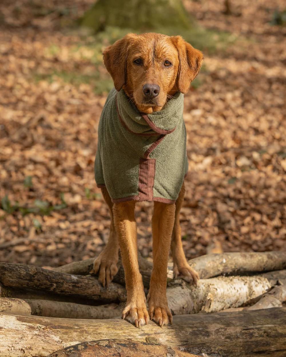 Ruff & Tumble Country Dog Drying Coat - Image 6