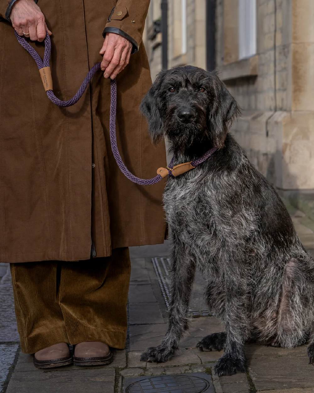 Ruff & Tumble Slip Dog Leads - Image 14