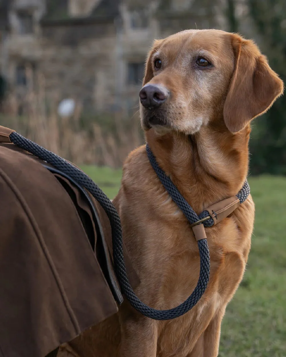 Ruff & Tumble Slip Dog Leads - Image 17