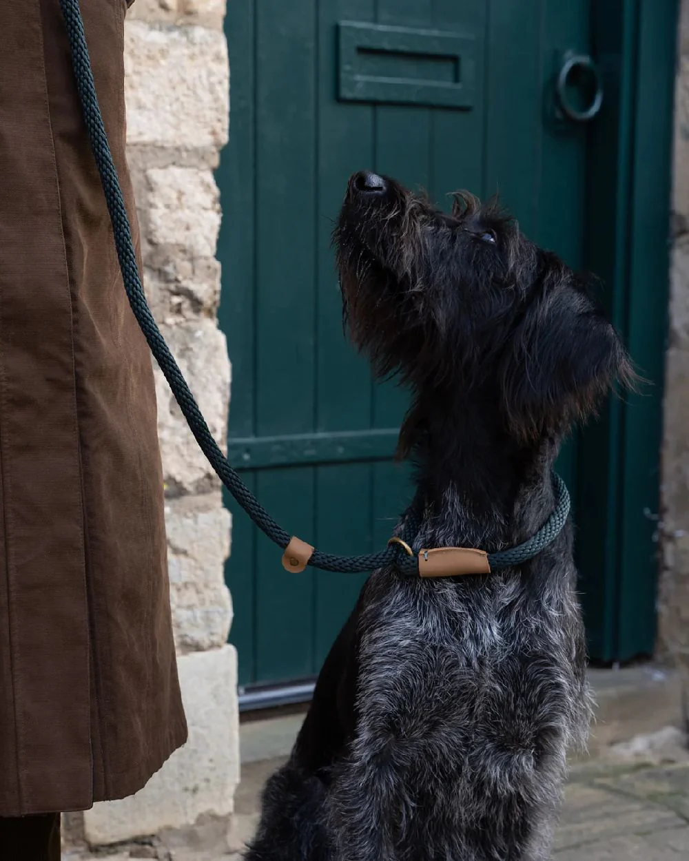Ruff & Tumble Slip Dog Leads - Image 19
