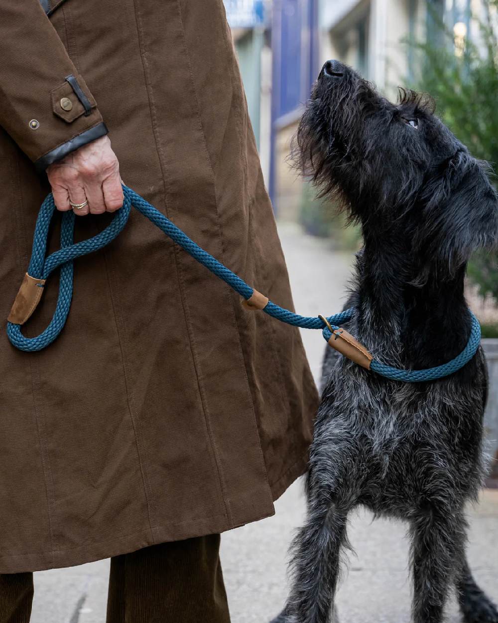 Ruff & Tumble Slip Dog Leads - Image 21