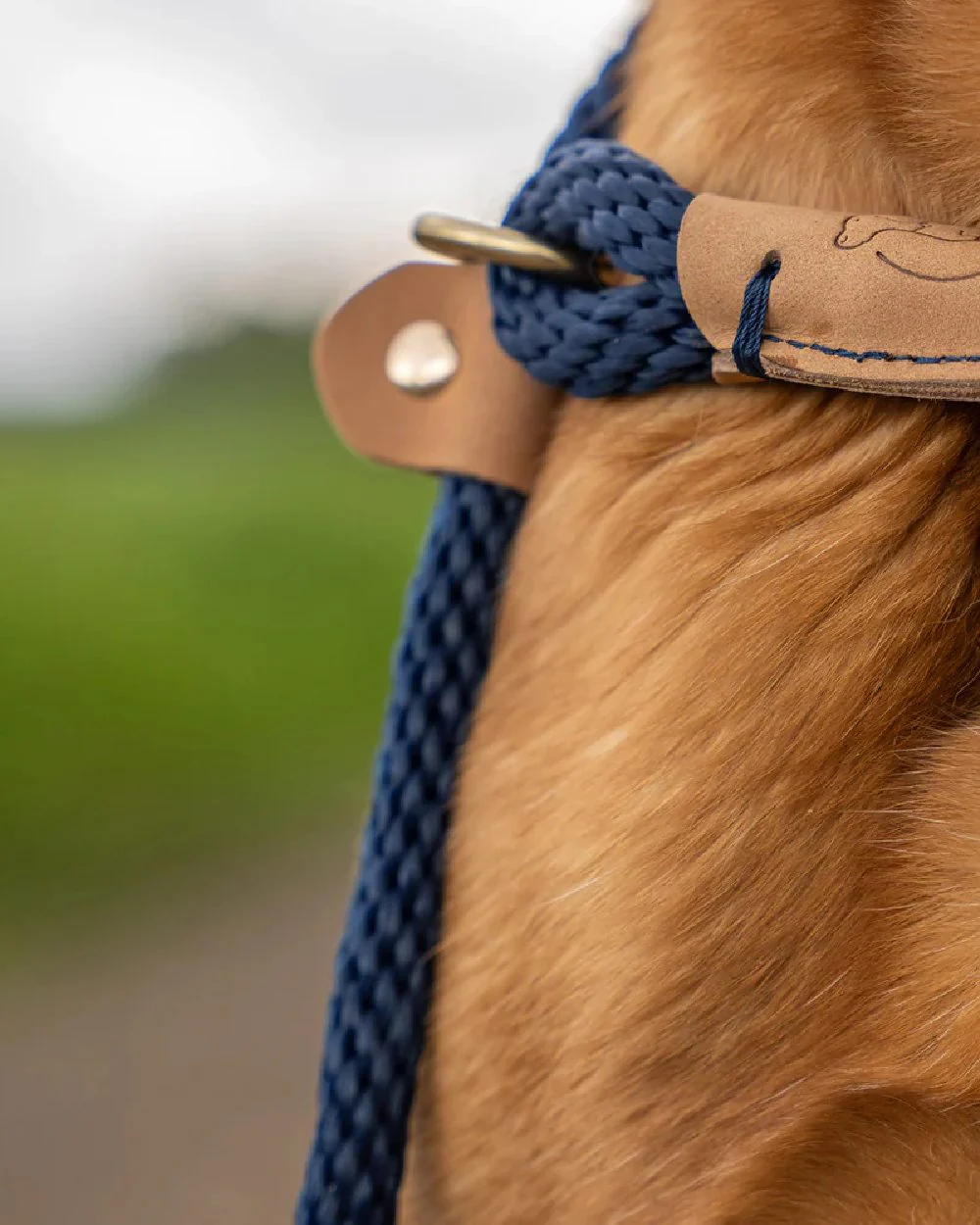 Ruff & Tumble Slip Dog Leads - Image 6