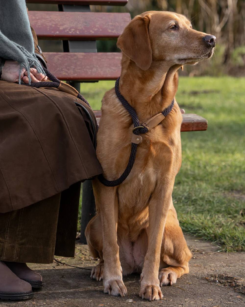 Ruff & Tumble Slip Dog Leads - Image 9