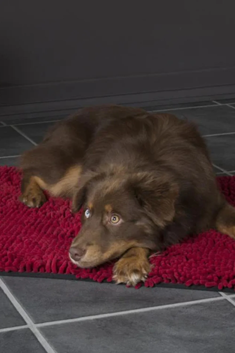 Scruffs Noodle Dry Mat - Image 2