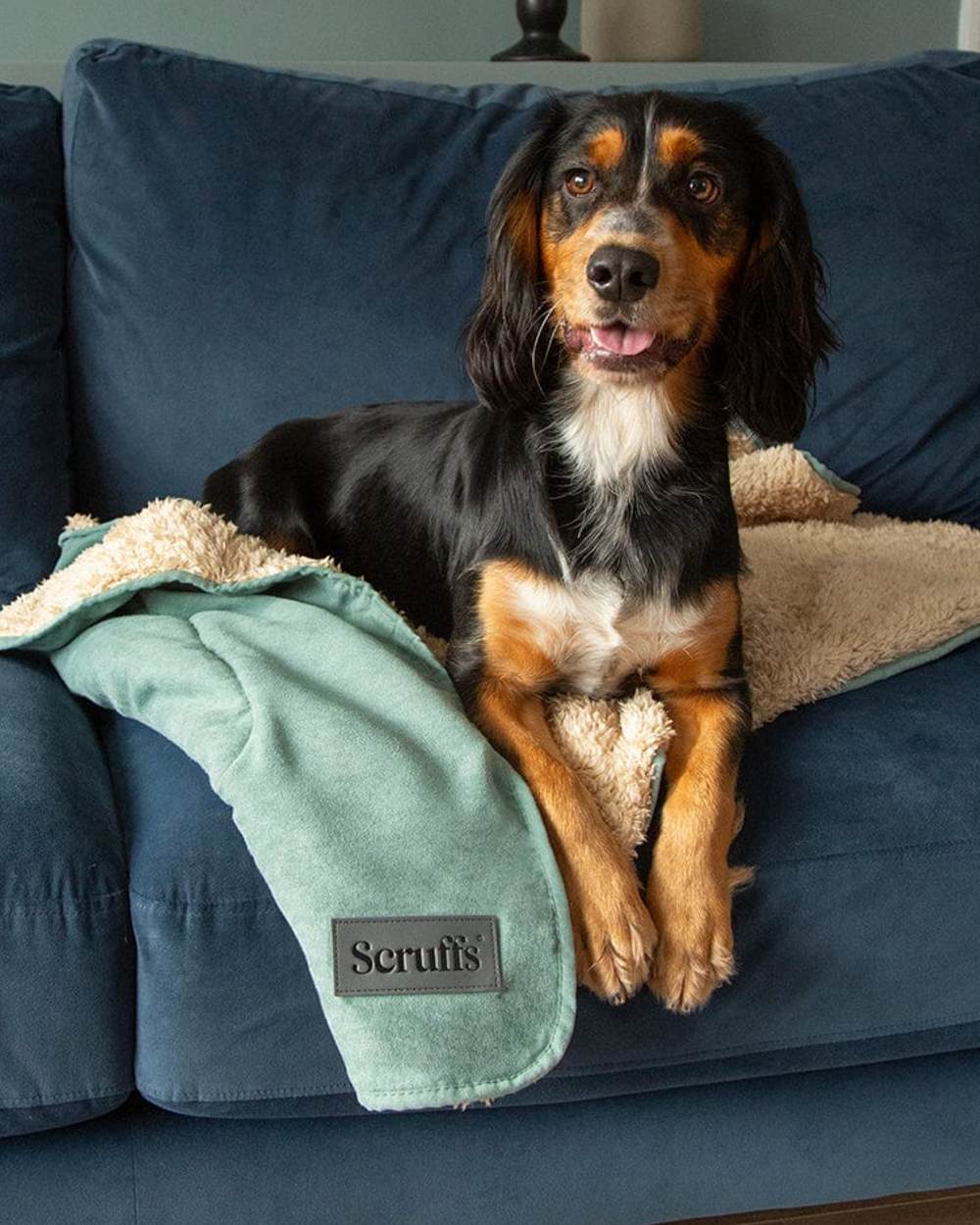 Scruffs Snuggle Blanket - Image 11
