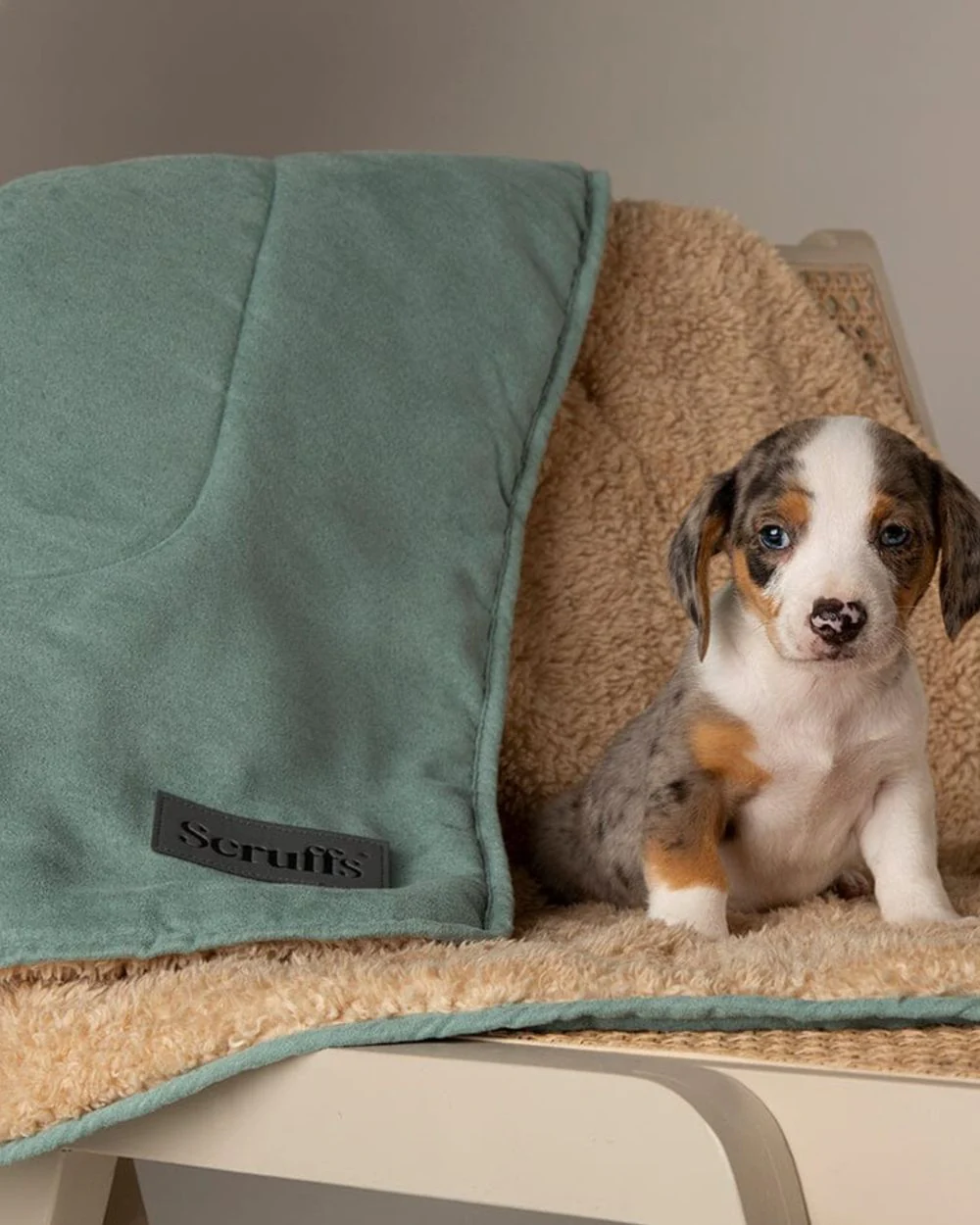 Scruffs Snuggle Blanket - Image 12