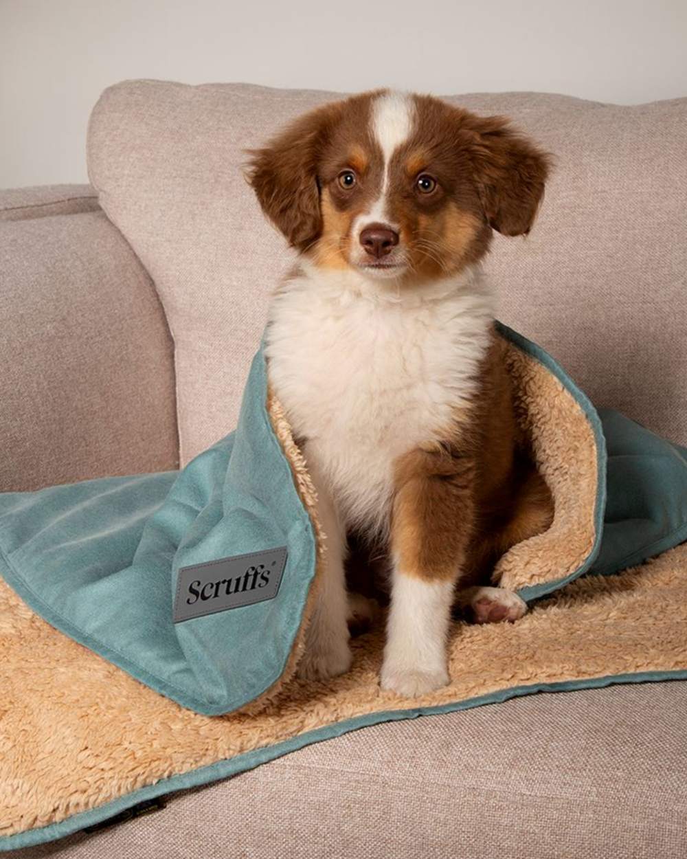 Scruffs Snuggle Blanket - Image 13