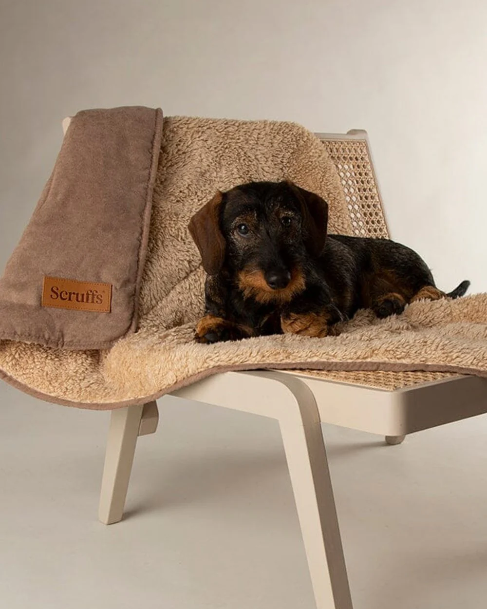 Scruffs Snuggle Blanket - Image 4