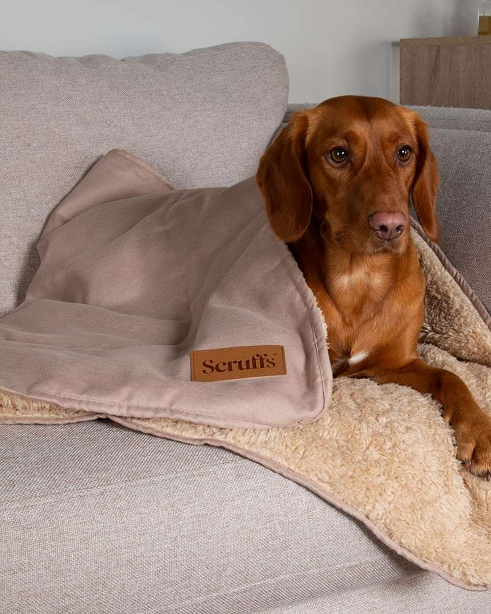 Scruffs Snuggle Blanket - Image 6