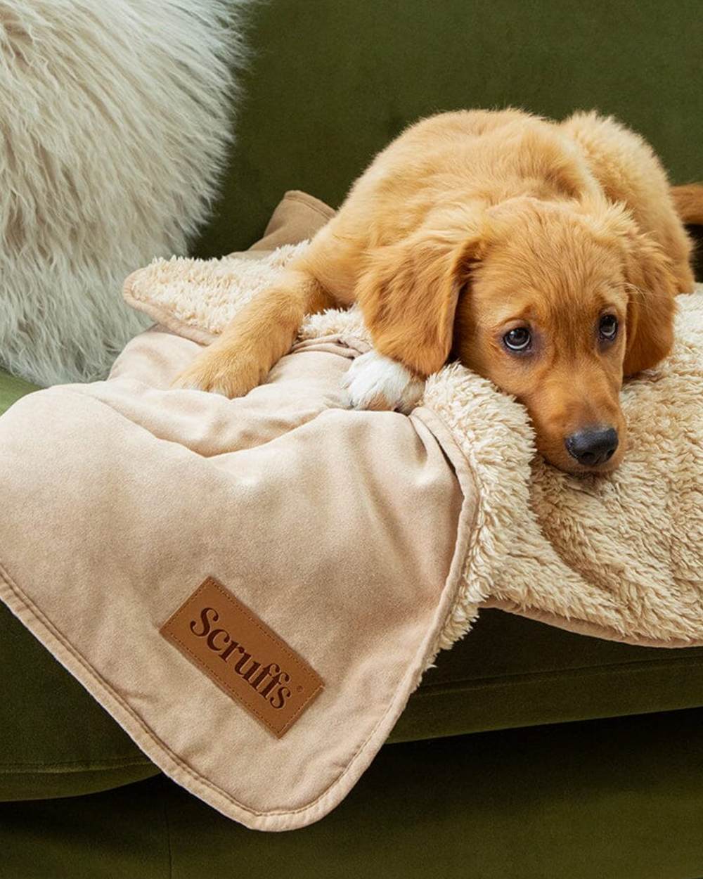 Scruffs Snuggle Blanket - Image 8