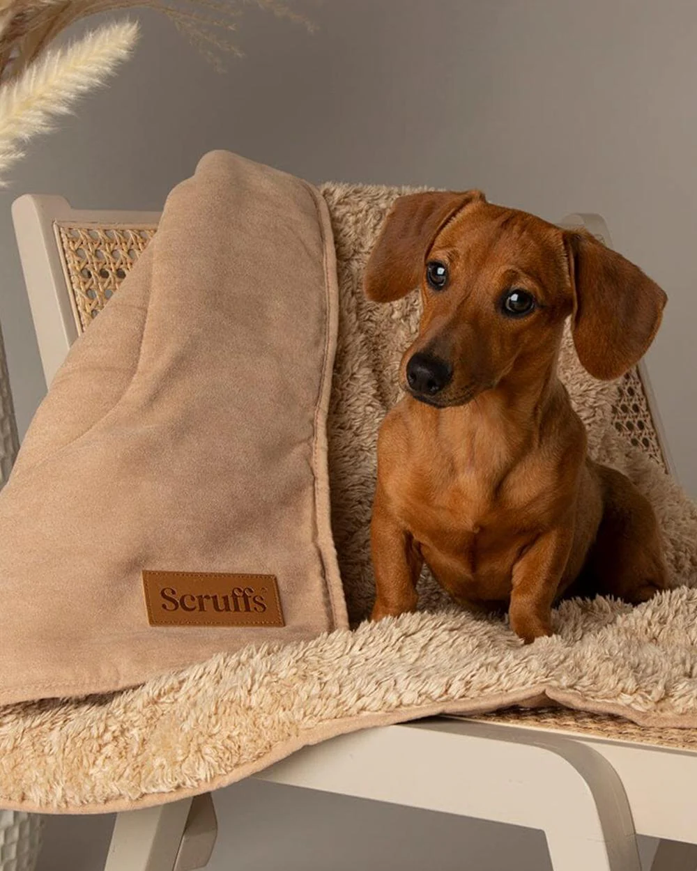 Scruffs Snuggle Blanket - Image 9