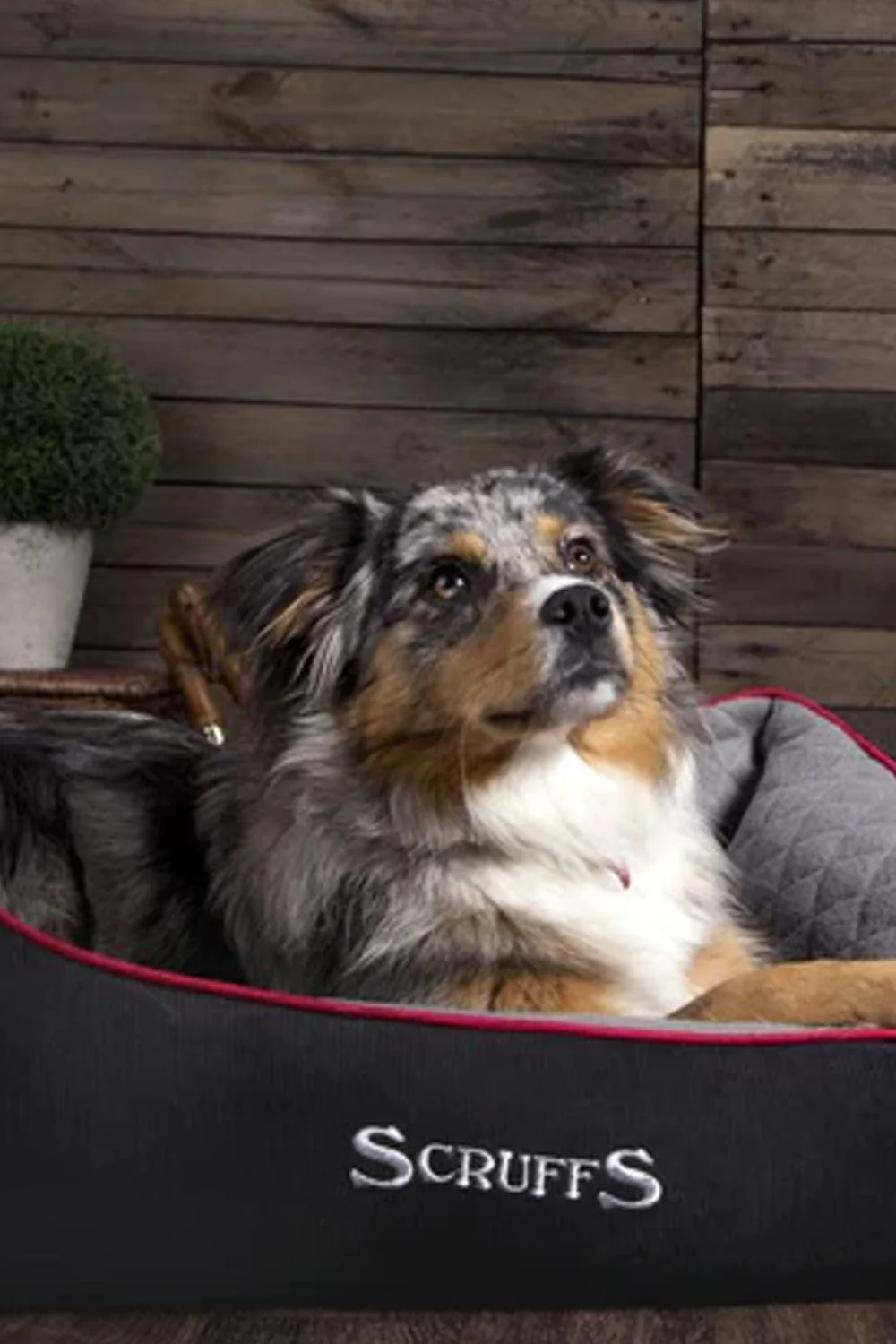Scruffs Thermal Box Dog Bed - Image 4