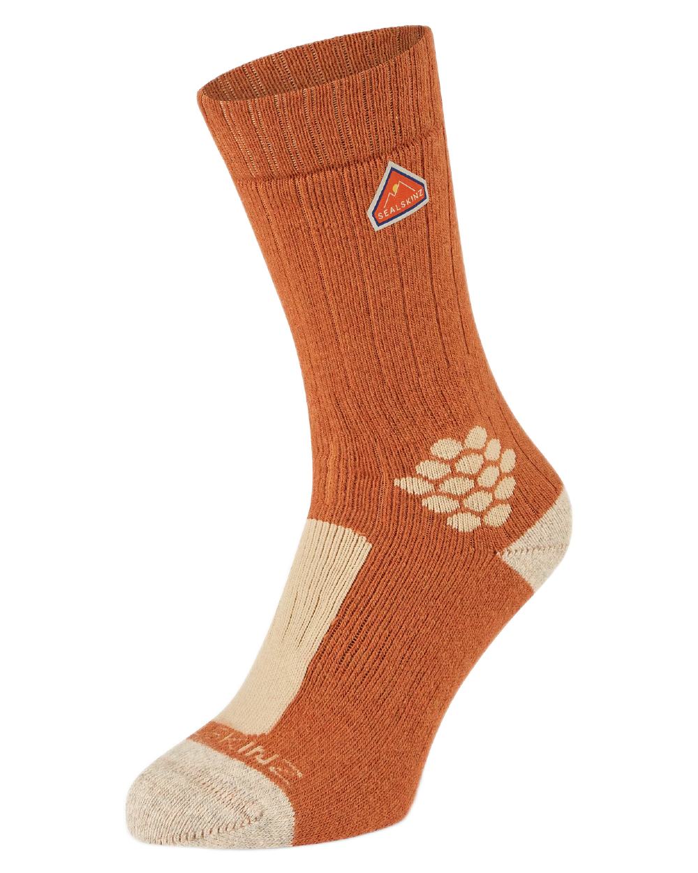 Sealskinz Scarning Recycled Wool Mid Length Twisted Hiking Socks - Image 4