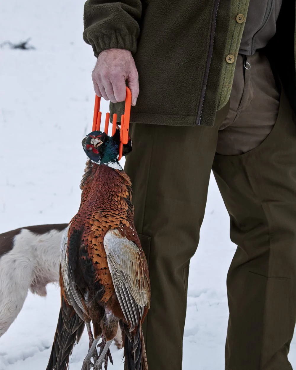Seeland Buckthorn Treggings - Image 3