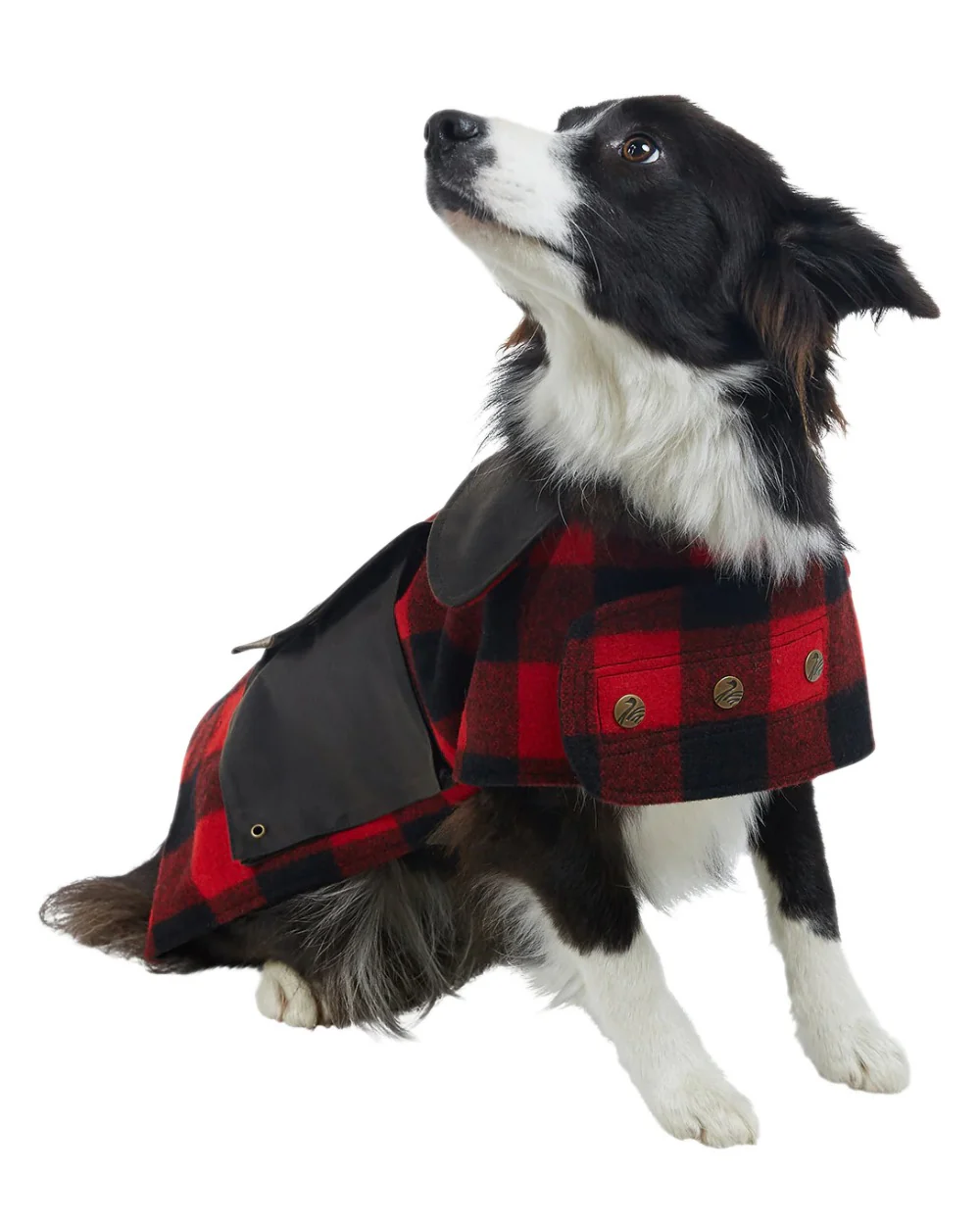 Swanndri Classic Wool Dog Coat - Image 14