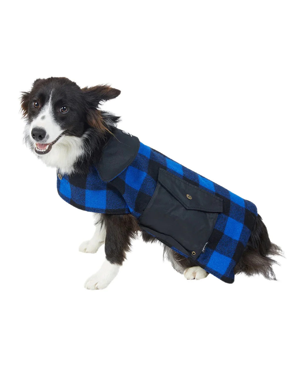 Swanndri Classic Wool Dog Coat - Image 4