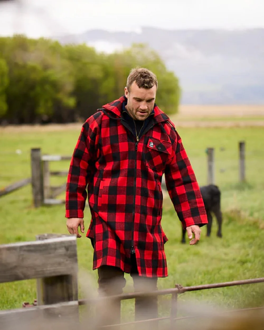 Swanndri Mens Mosgiel Wool Bushshirt with Zip Up Front - Image 14