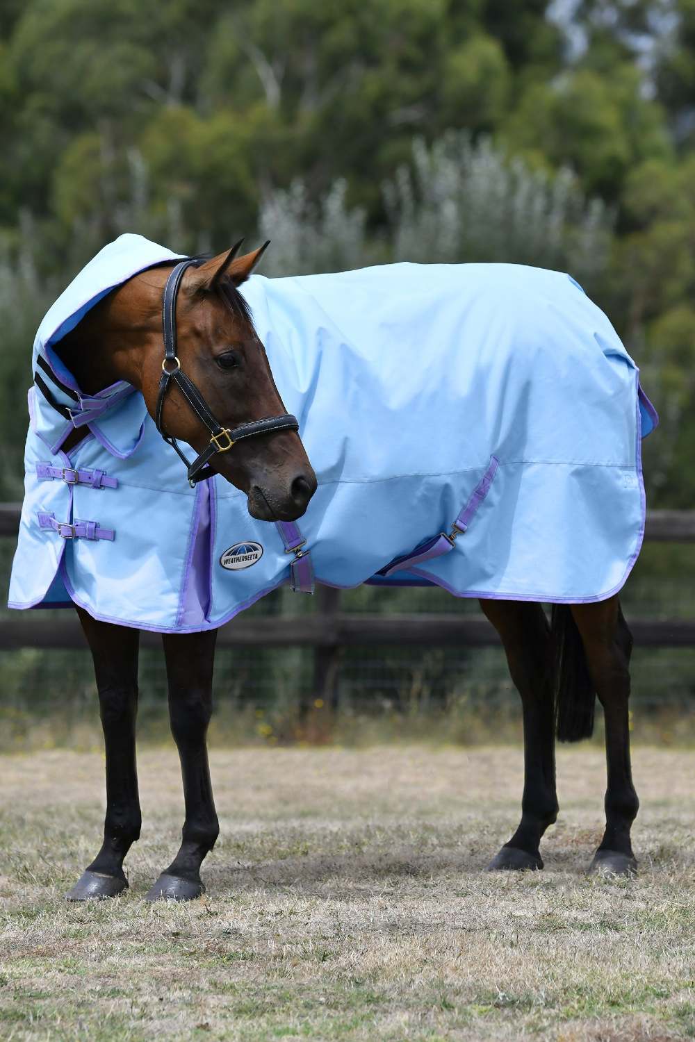 WeatherBeeta ComFiTec Classic Combo Neck Lite - Image 4
